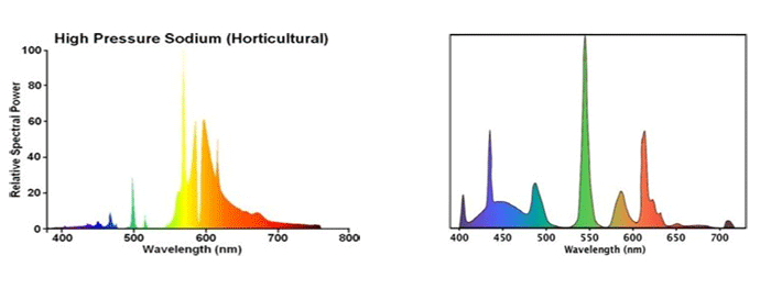 طیف نوری در لامپ رشد گیاه